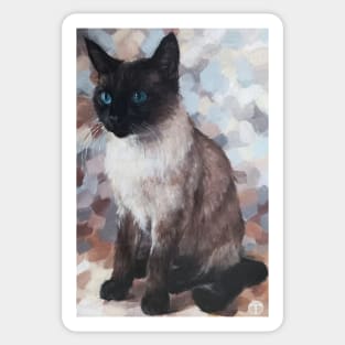 SIAMESE CAT, Siamese cat with blue eyes , Kawaii Animals, New Zealand Animals Sticker